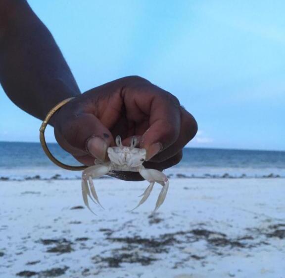 ペンション Barefoot Zanzibar