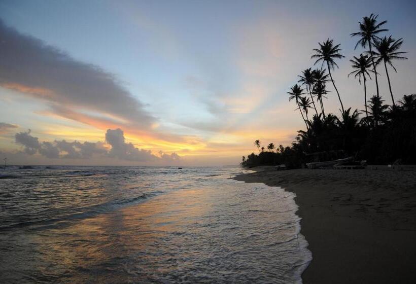 膳宿费 Malee Villa