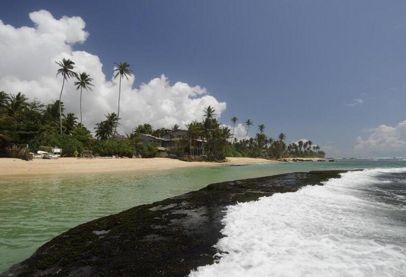 膳宿费 Malee Villa