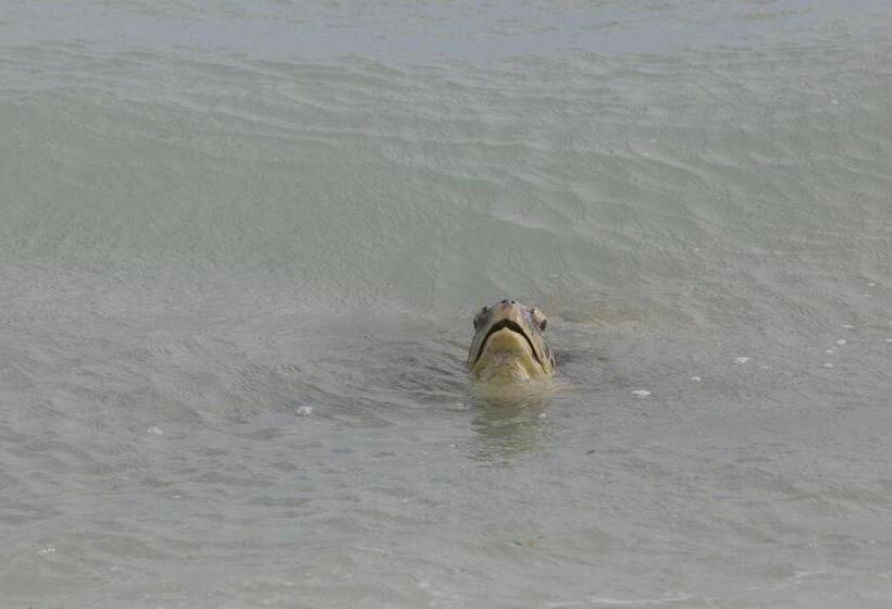 膳宿费 Malee Villa