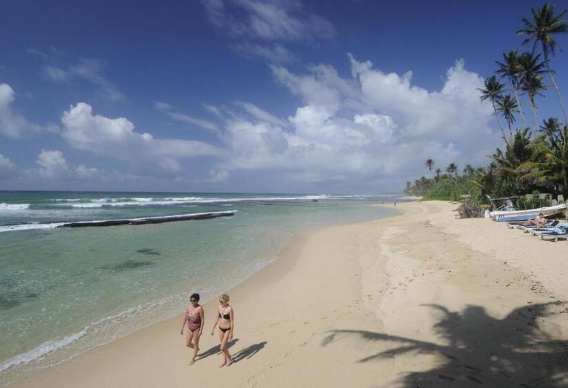 膳宿费 Malee Villa