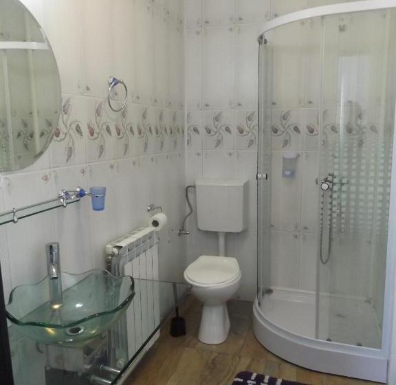 פנסיון Cabana Telescaun