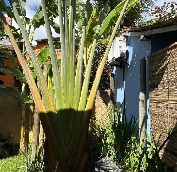 بنسيون Casa Aratu   Caraíva