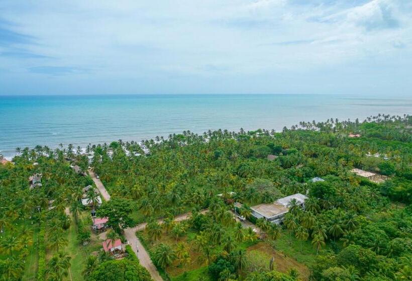 פנסיון Casa Chapolin Boutique Guesthouse