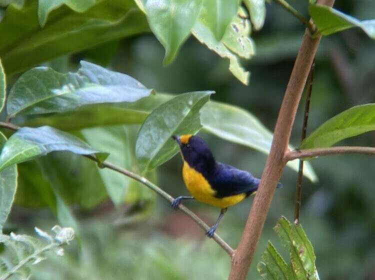 פנסיון Casa Aiti