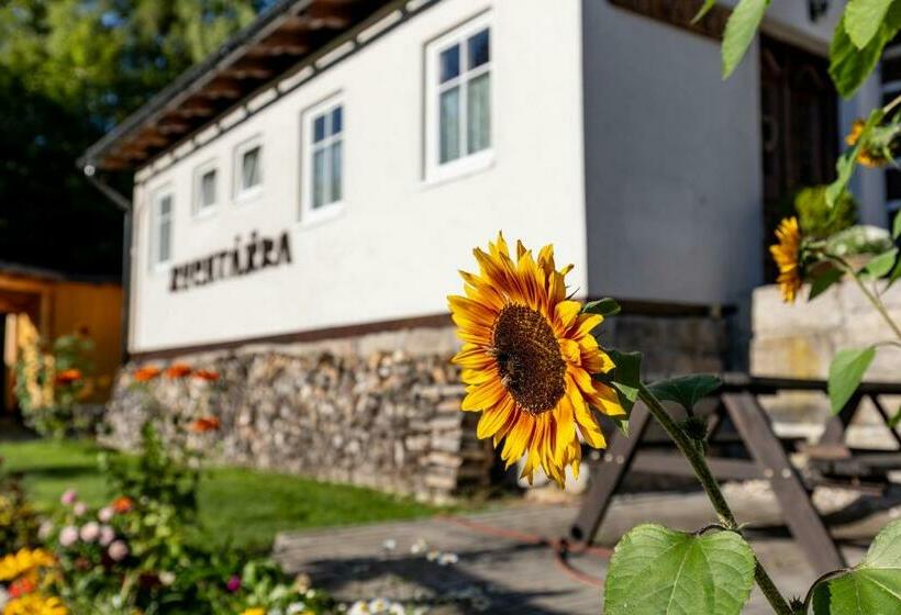 پانسیون Chata Rychtářka