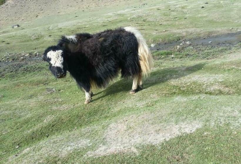 پانسیون City Guesthouse & Tours