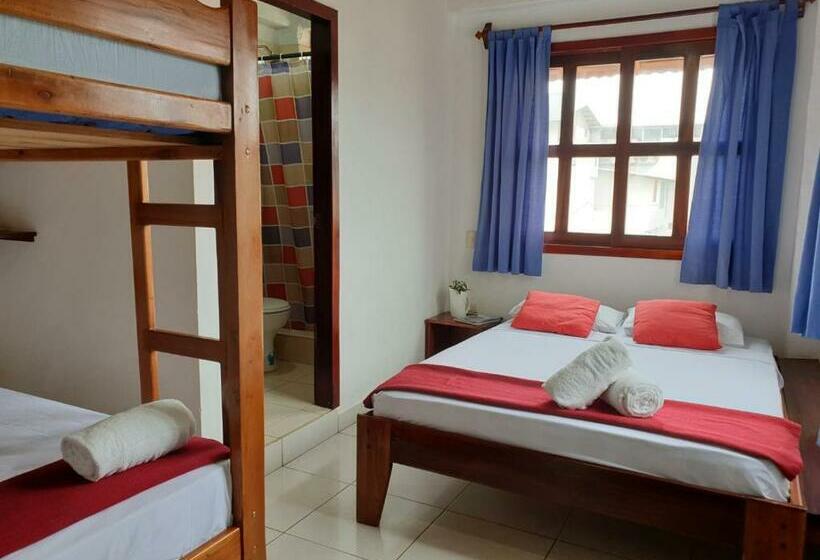 פנסיון Cocoa Inn Hostal