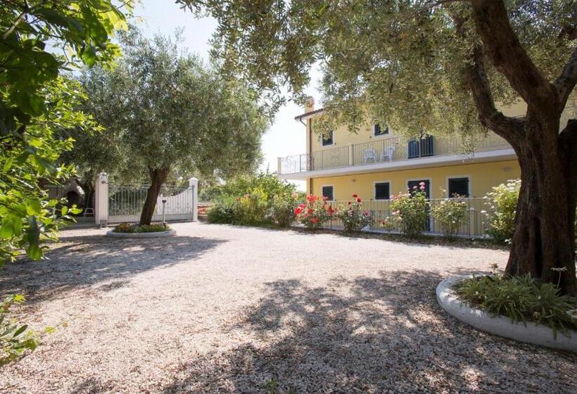 ペンション Giglio Del Conero