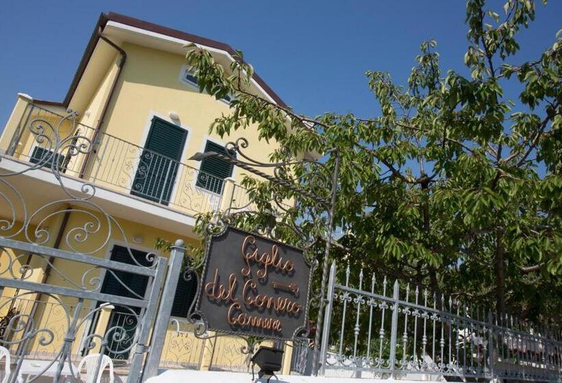 ペンション Giglio Del Conero