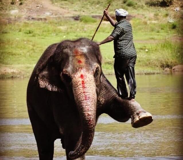 پانسیون Gopi Guest House