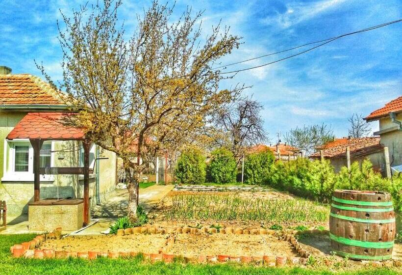 بنسيون Guest House Dimi