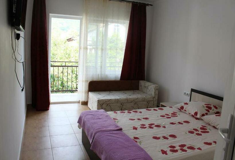 پانسیون Guest House U Aleny