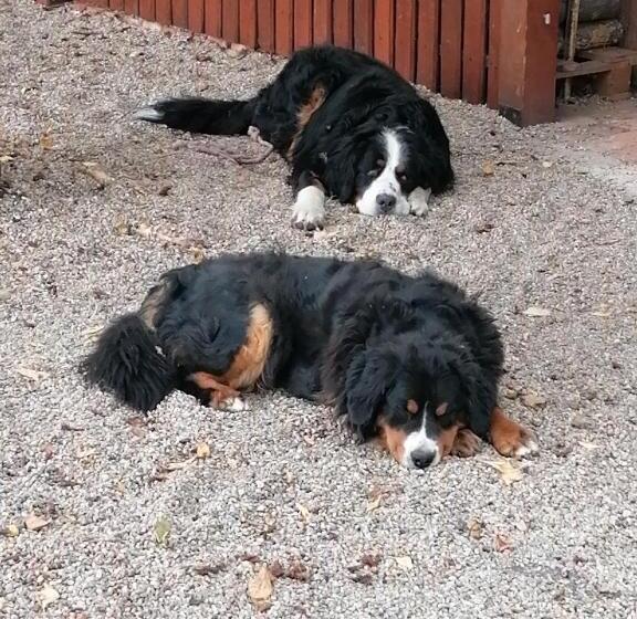 پانسیون Kata Vendégház