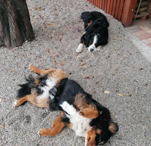 پانسیون Kata Vendégház