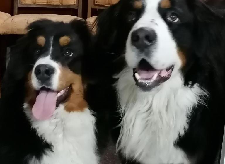 پانسیون Kata Vendégház