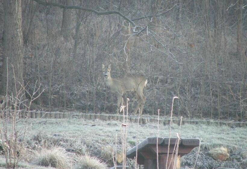 펜션 Napsugár Vendégház