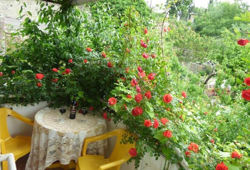 پانسیون Nato & Lado