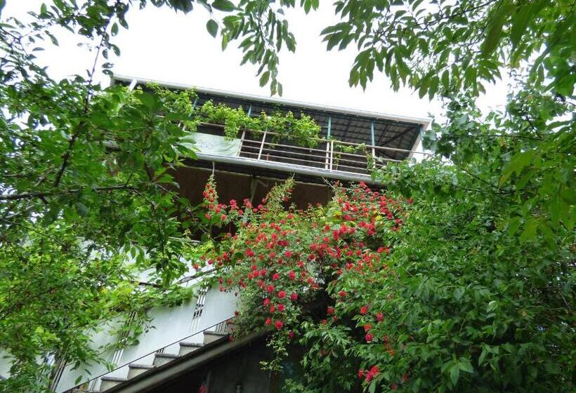 پانسیون Nato & Lado