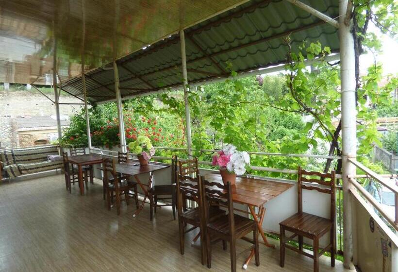 پانسیون Nato & Lado