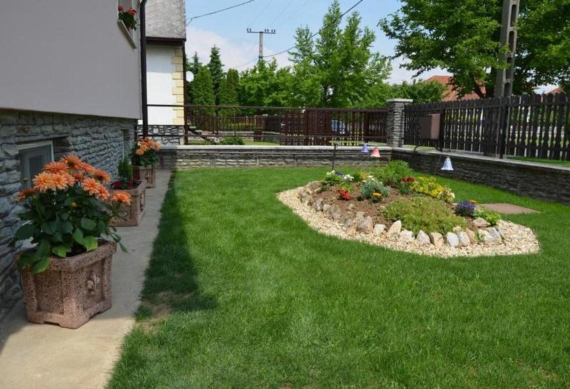 پانسیون Németh Vendégház