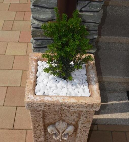 پانسیون Németh Vendégház