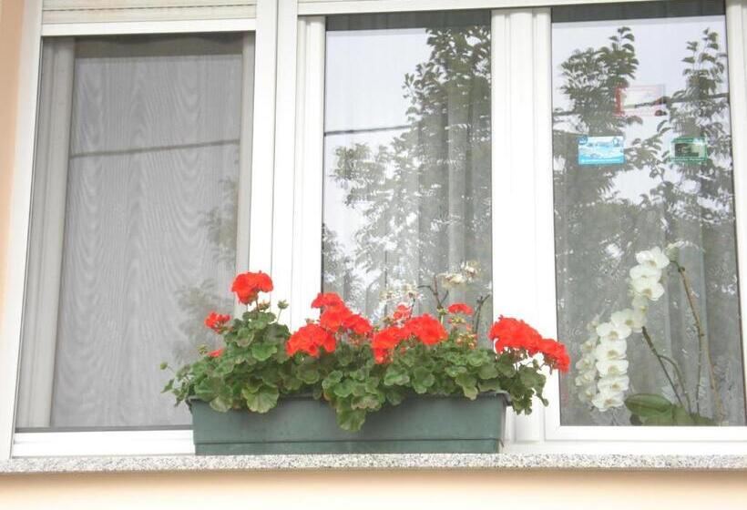 پانسیون Németh Vendégház