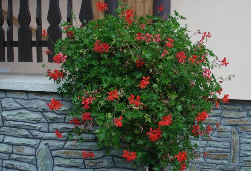 پانسیون Németh Vendégház