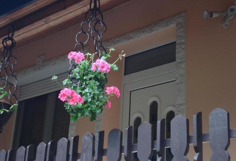 پانسیون Németh Vendégház