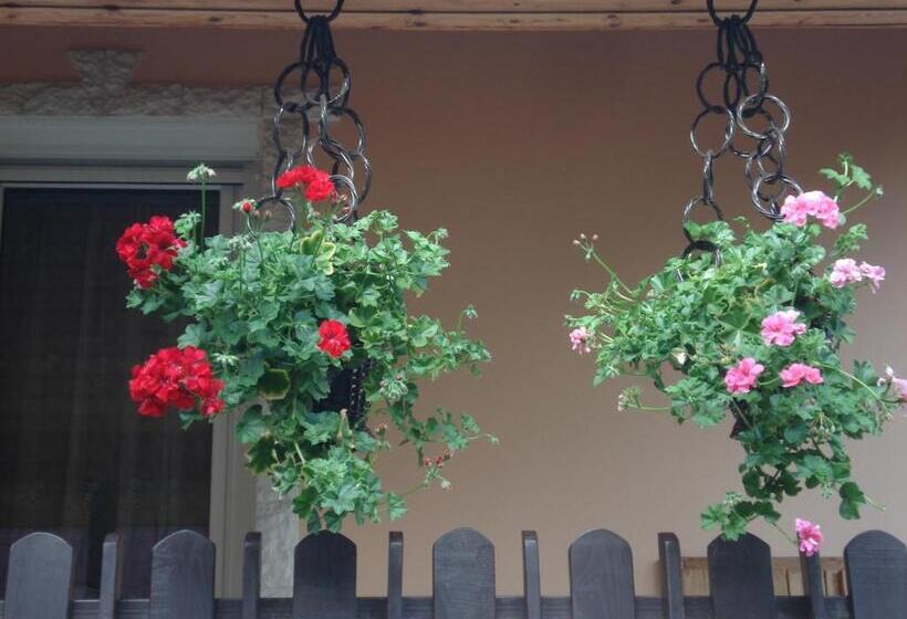 پانسیون Németh Vendégház