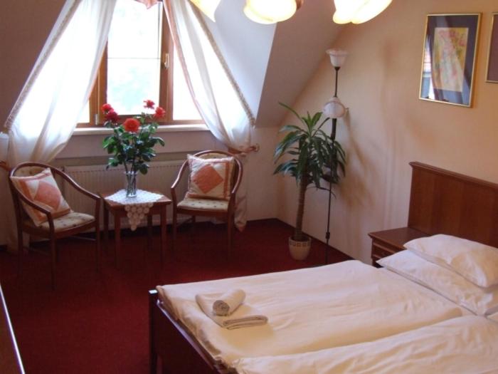 פנסיון Penzion 77   Garni