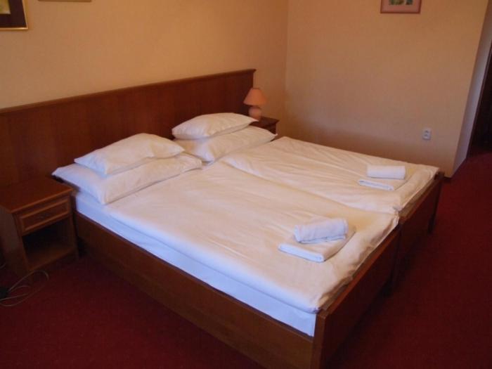 פנסיון Penzion 77   Garni