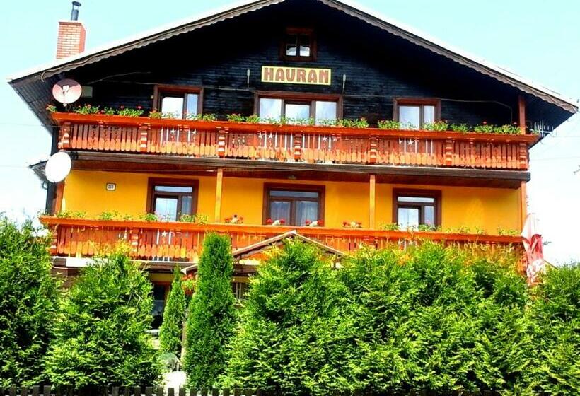 بنسيون Penzion Havran