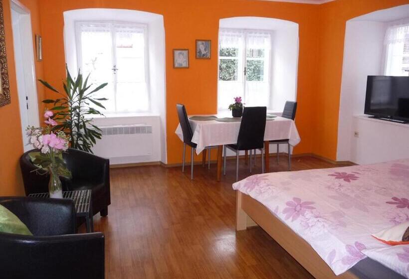 پانسیون Penzion Kozák