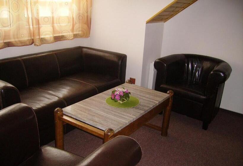 ペンション Penzion Pod Boubínem