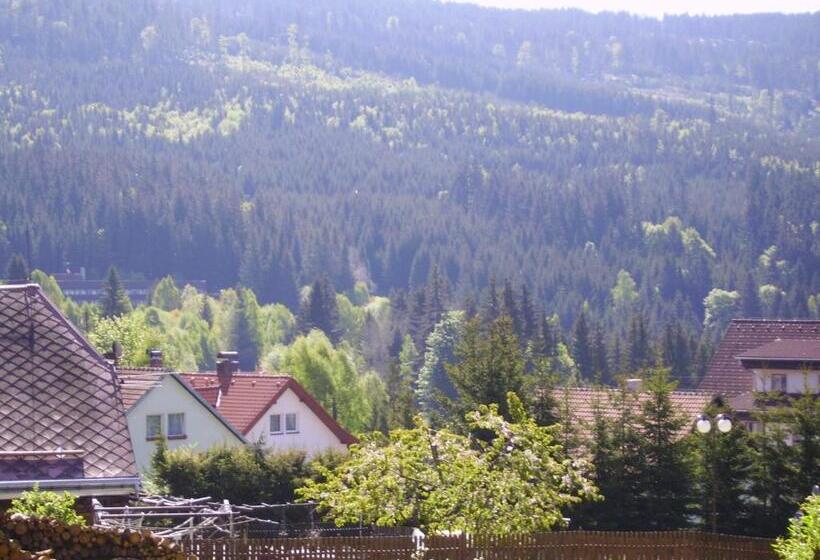 ペンション Penzion Pod Boubínem