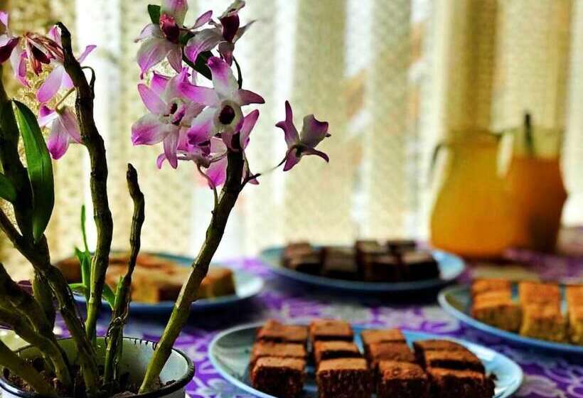 Пансион Pouso Paraty