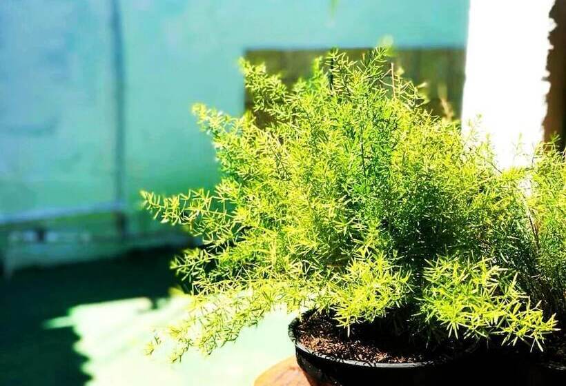 Пансион Pouso Paraty