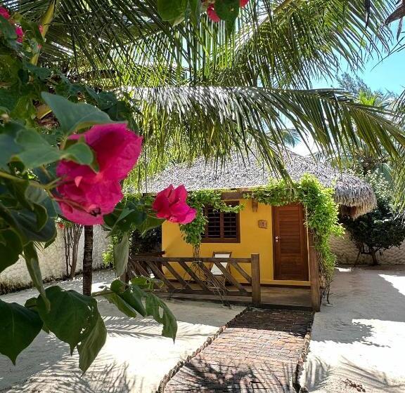 بنسيون Pousada Vento Do Kite