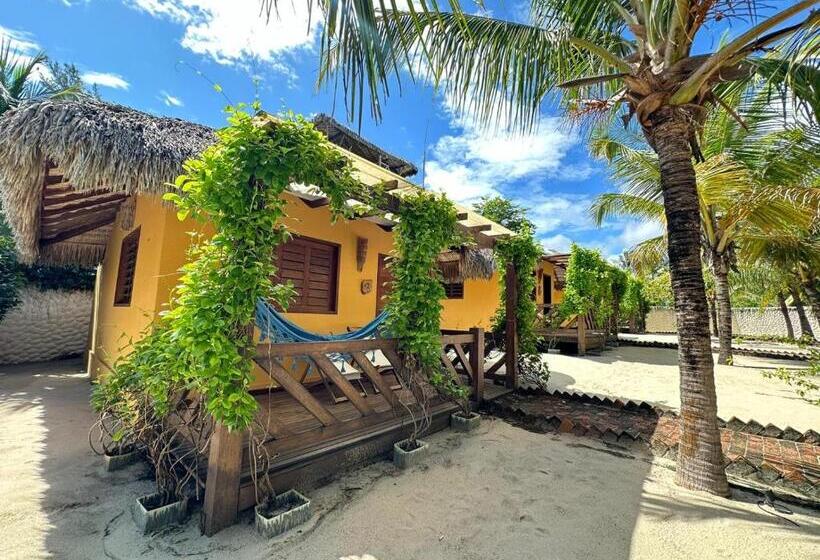 ペンション Pousada Vento Do Kite