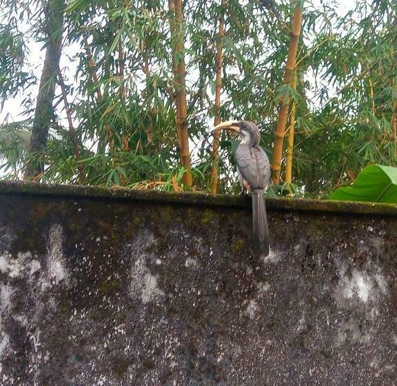 Pensione Rathna Gems Halt