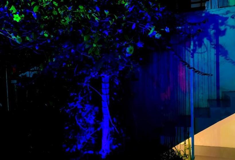 Пансион The Bay House