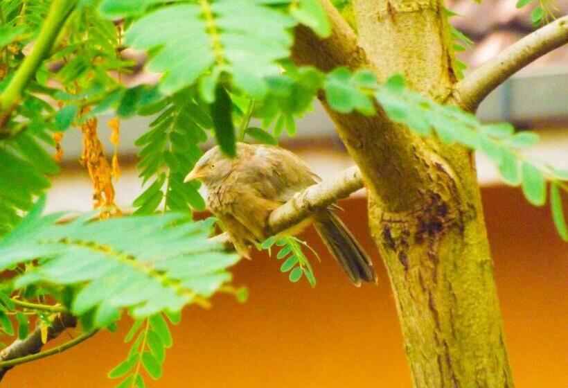 Пансион The Bay House