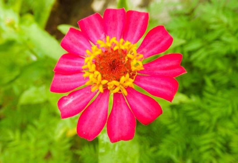 Пансион The Bay House