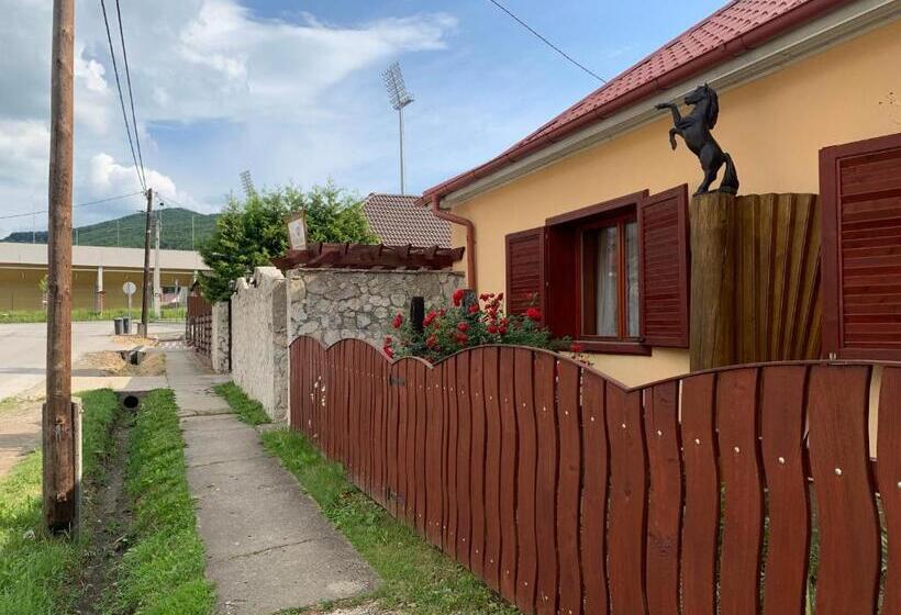 بنسيون Viki Vendégház