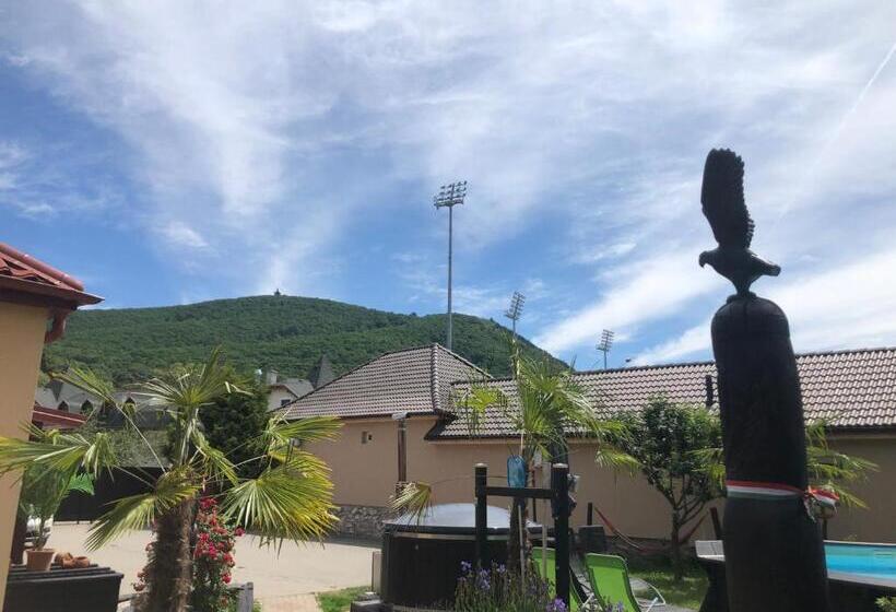 بنسيون Viki Vendégház