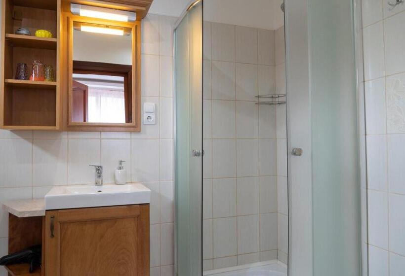 بنسيون Viki Vendégház