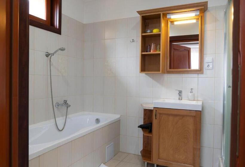 بنسيون Viki Vendégház