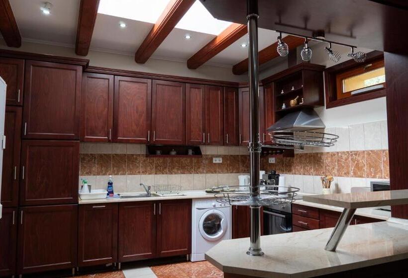 펜션 Viki Vendégház