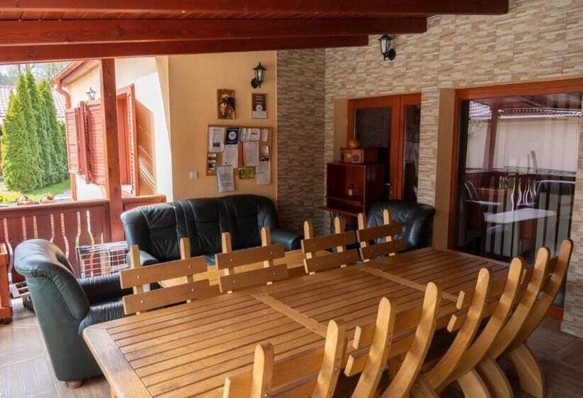 بنسيون Viki Vendégház